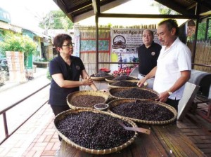 philippine-coffees