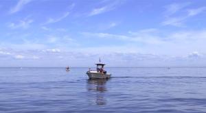 oyster-divers