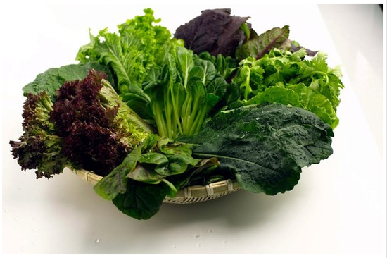 Foods You Should Never Reheat , Food, Health