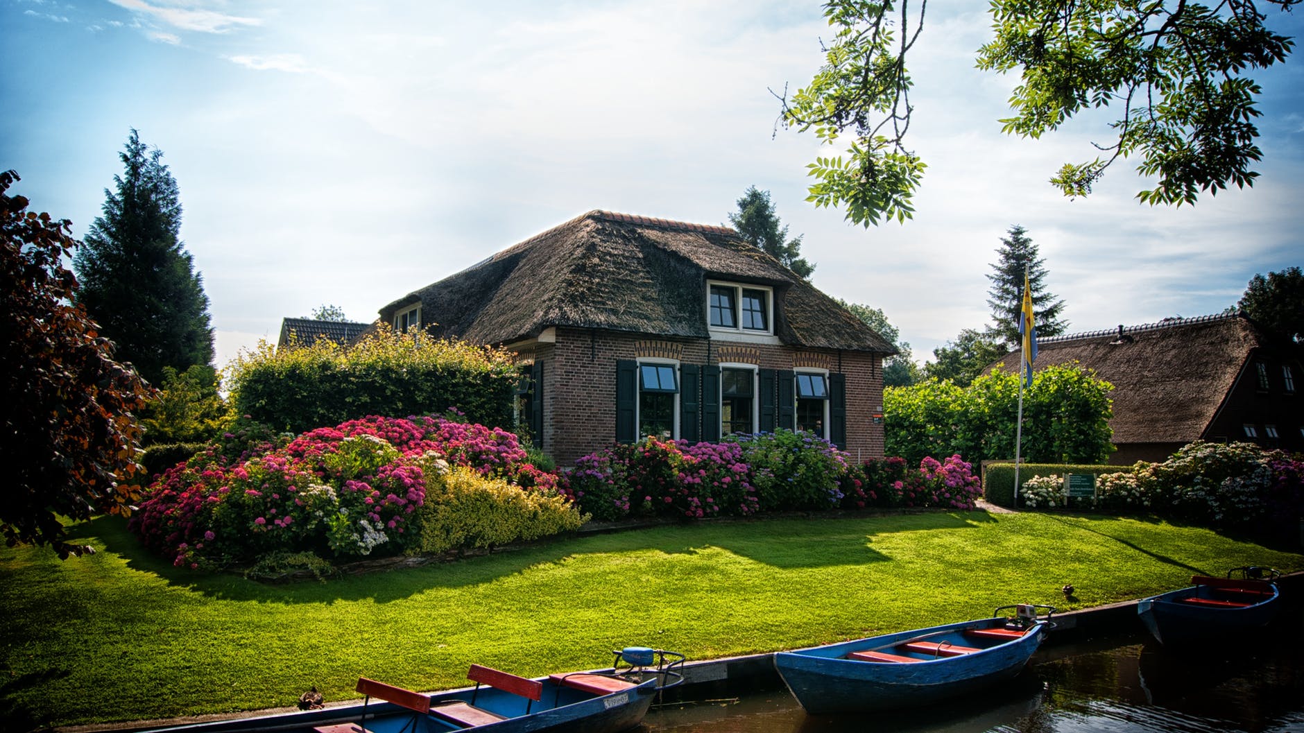 netherlands flower fields