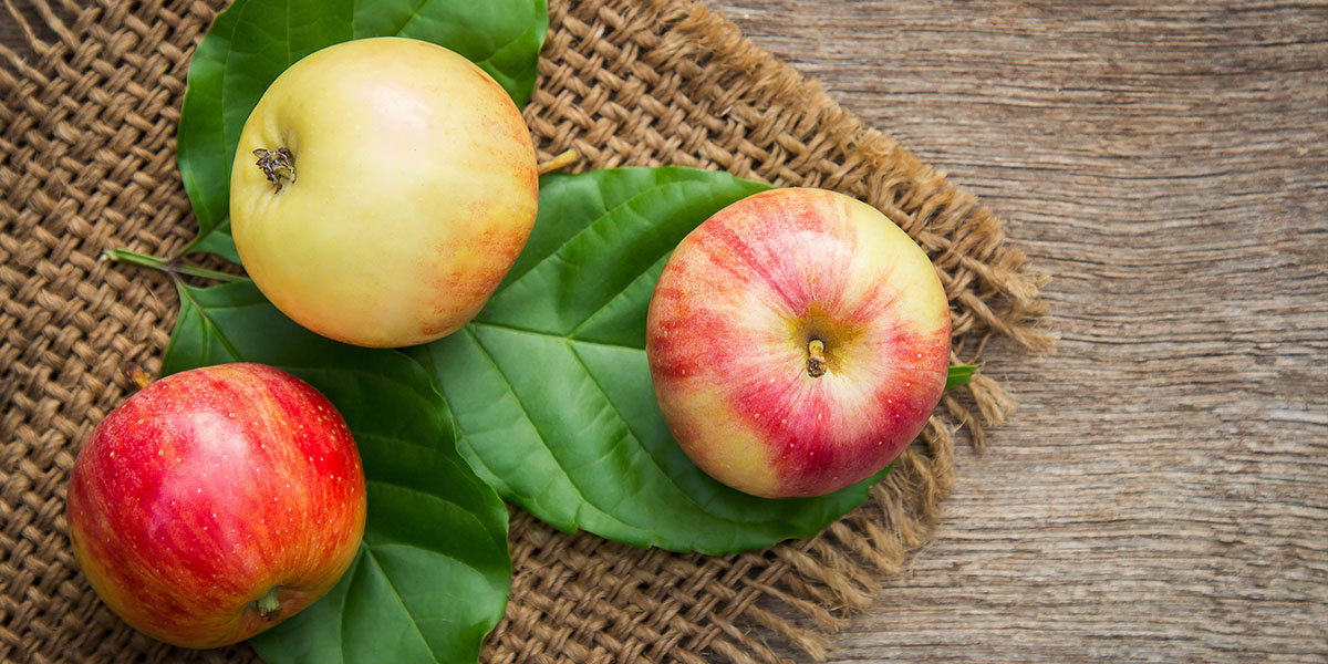 Sugar level ripe fruit - Food finds Asia