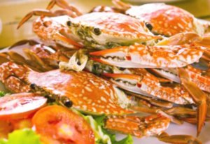 Dungeness Crab Recipe