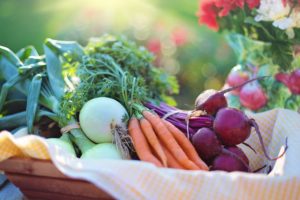 Essay on Nutrition Science