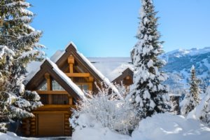 whistler