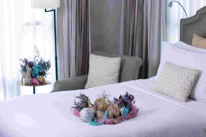 Discovery Primea Christmas