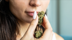 cbd flower