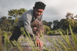 How Mechanization Can Help Filipino Farmers
