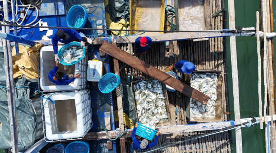 Fishta Seafood Elevates Philippine Seafood Standards, Anchored by Santeh Feeds Corporation’s 35-Year Legacy of Aquaculture Excellence